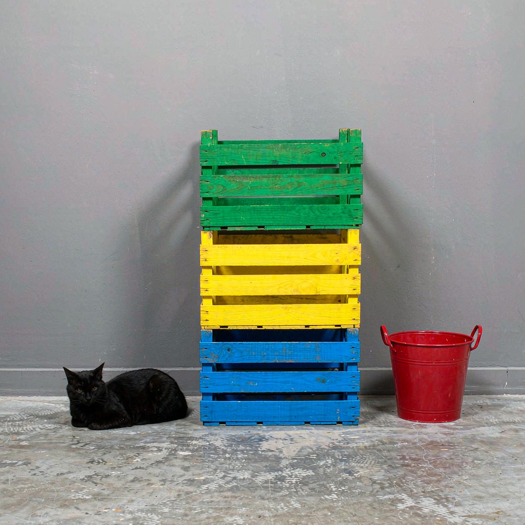 LEJ AI Image Generation Comparison, Blue, yellow, green
